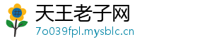 天王老子网
